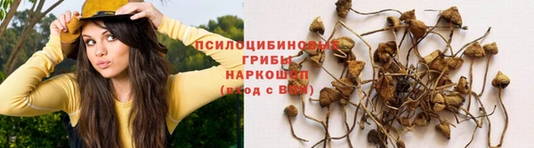 тгк Зерноград