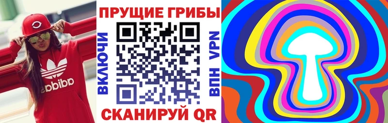 даркнет сайт  Костерёво  ОМГ ОМГ ссылка  Псилоцибиновые грибы GOLDEN TEACHER 